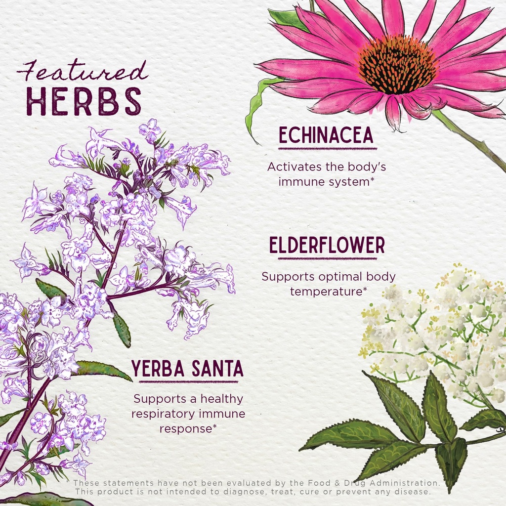 wishgarden-herbs-congestion-rescue-for-p-4.jpg