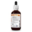 hawaii-pharm-muira-puama-extract-tinctur-2.jpg