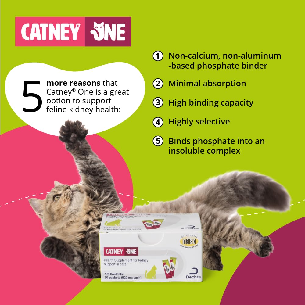 catney-one-520mg-30ct-health-supplement--5.jpg