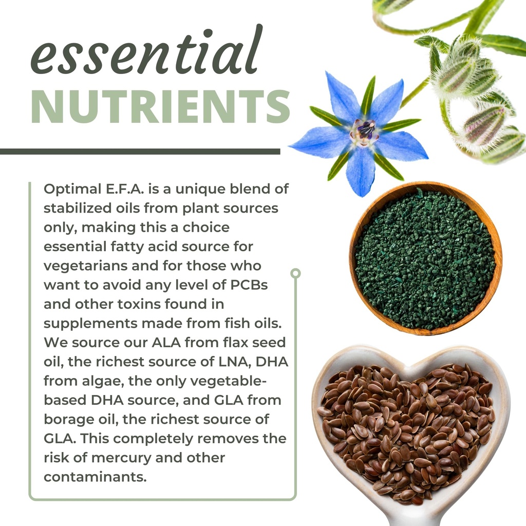 optimal-health-systems-efa-plant-based-e-5.jpg