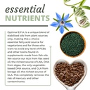 optimal-health-systems-efa-plant-based-e-5.jpg