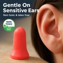 the-ear-buddy-premium-soft-foam-ear-plug-6.jpg