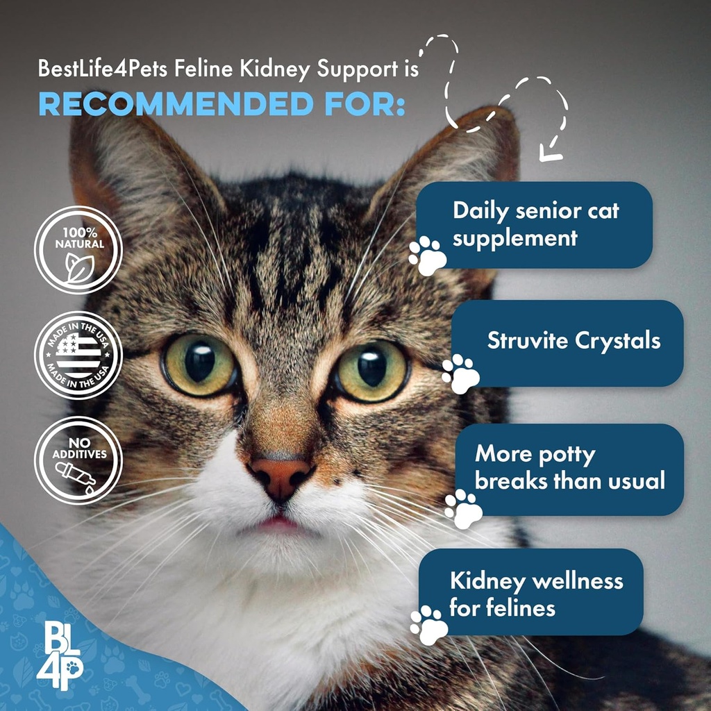 cat-uti-remedy-kidney-support-for-cats-n-5.jpg