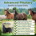 horse-pituitary-gland-supplements-1-lb-p-2.jpg