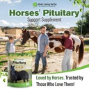 horse-pituitary-gland-supplements-1-lb-p-6.jpg