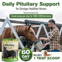 horse-pituitary-gland-supplements-1-lb-p-4.jpg