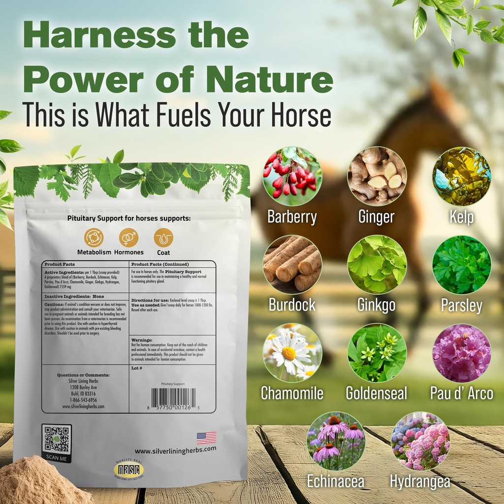 horse-pituitary-gland-supplements-1-lb-p-3.jpg