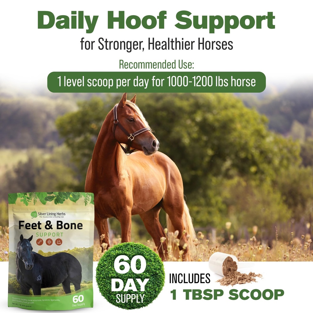 feet-bone-horse-hoof-supplements-tendons-4.jpg