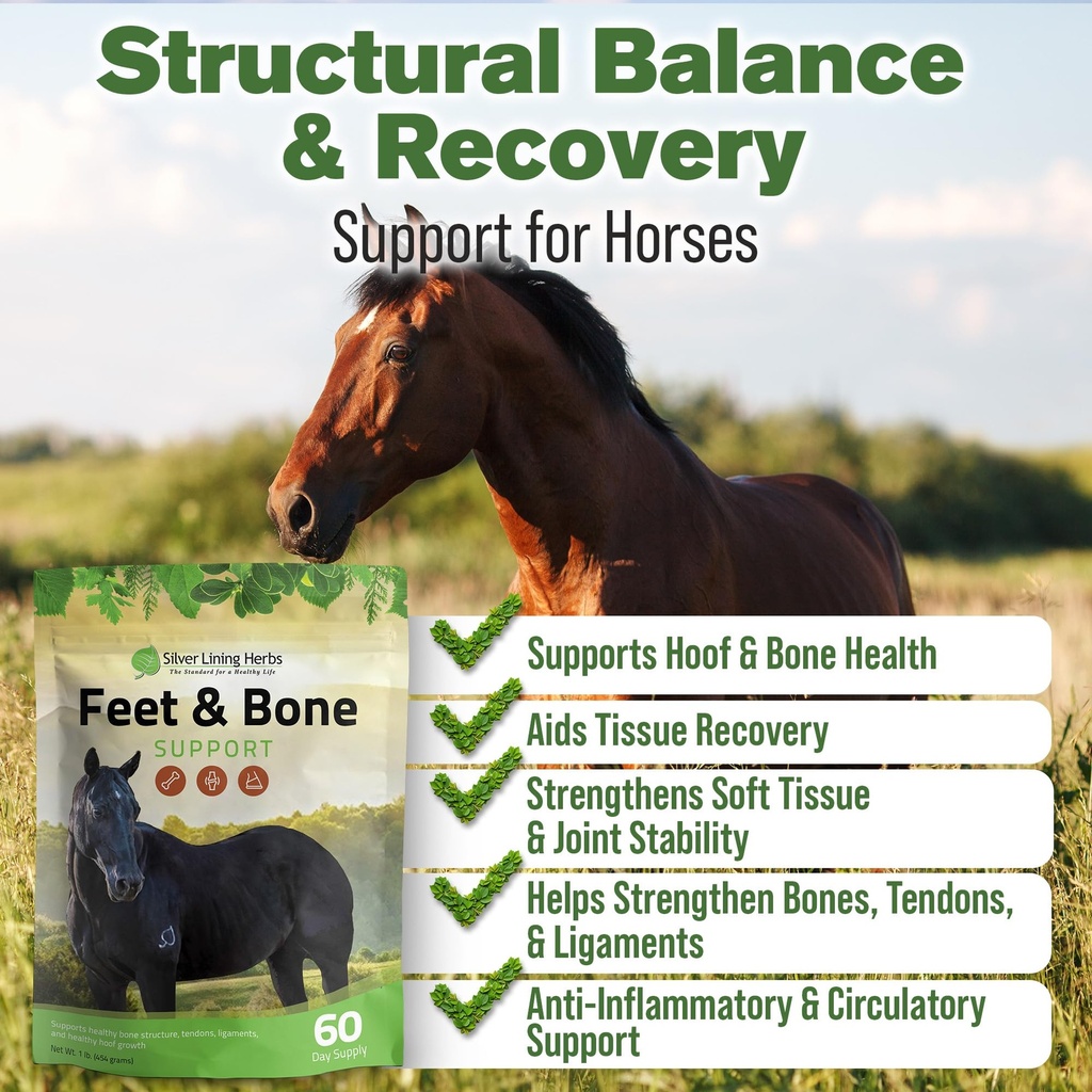 feet-bone-horse-hoof-supplements-tendons-2.jpg