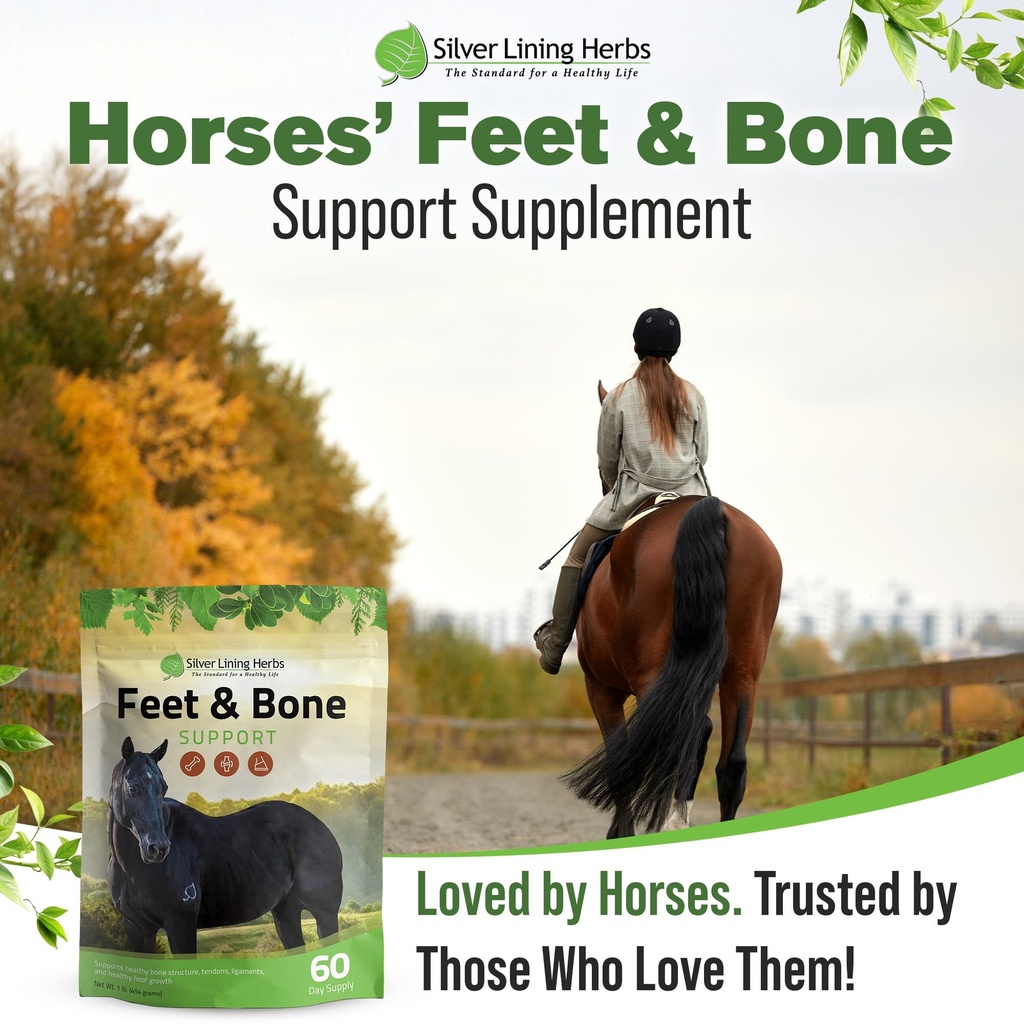 feet-bone-horse-hoof-supplements-tendons-6.jpg