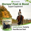 feet-bone-horse-hoof-supplements-tendons-6.jpg