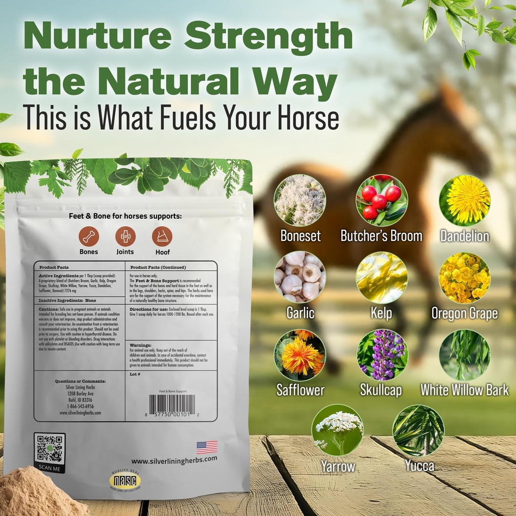 feet-bone-horse-hoof-supplements-tendons-3.jpg