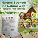 feet-bone-horse-hoof-supplements-tendons-3.jpg