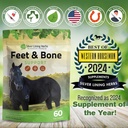 feet-bone-horse-hoof-supplements-tendons-5.jpg