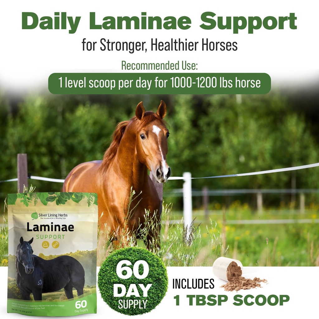 laminae-hoof-supplements-for-horses-1-lb-4.jpg
