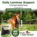 laminae-hoof-supplements-for-horses-1-lb-4.jpg