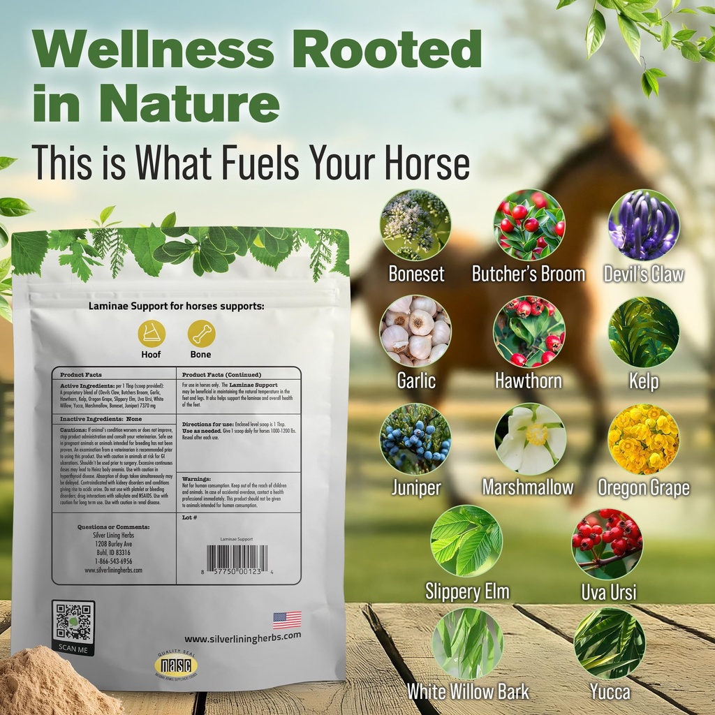 laminae-hoof-supplements-for-horses-1-lb-3.jpg