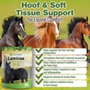 laminae-hoof-supplements-for-horses-1-lb-2.jpg