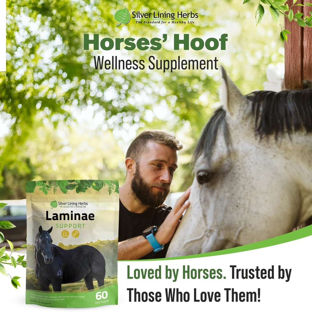 laminae-hoof-supplements-for-horses-1-lb-6.jpg