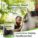 laminae-hoof-supplements-for-horses-1-lb-6.jpg