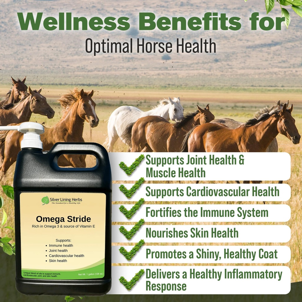 omega-stride-hemp-seed-oil-for-horses-1--3.jpg