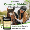 omega-stride-hemp-seed-oil-for-horses-1--6.jpg