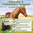 nolasix-horse-circulation-supplements-lu-2.jpg