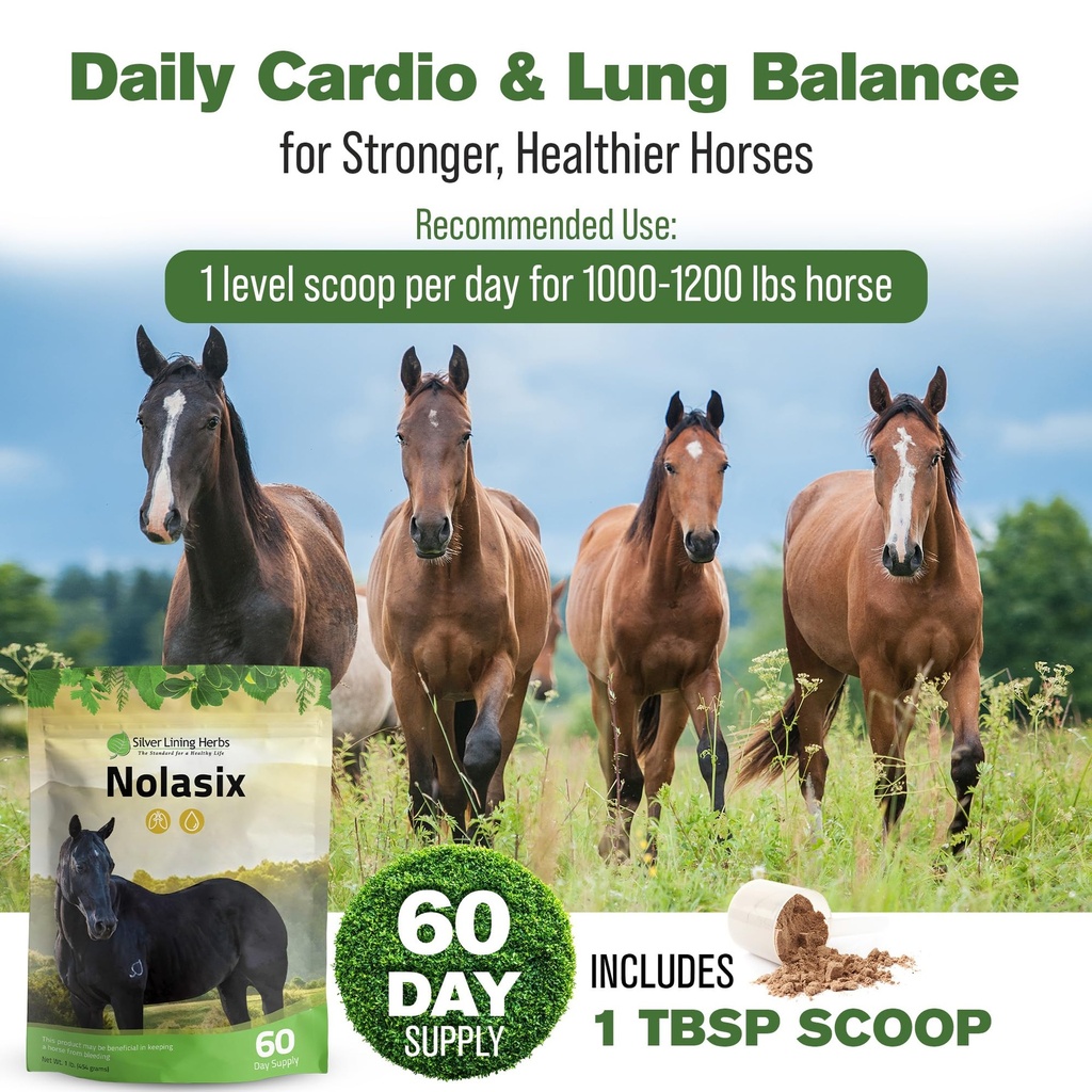 nolasix-horse-circulation-supplements-lu-4.jpg