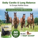 nolasix-horse-circulation-supplements-lu-4.jpg