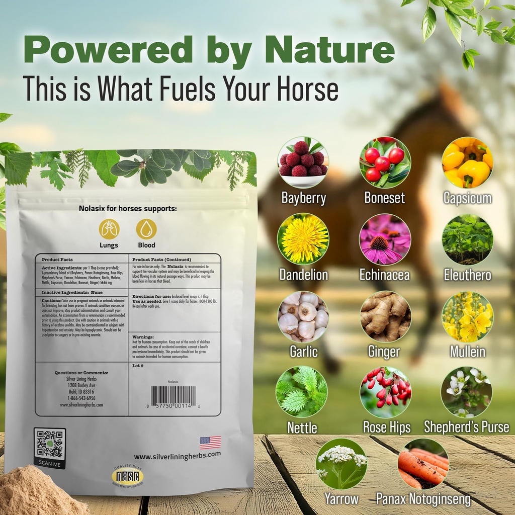 nolasix-horse-circulation-supplements-lu-3.jpg