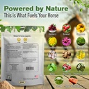 nolasix-horse-circulation-supplements-lu-3.jpg