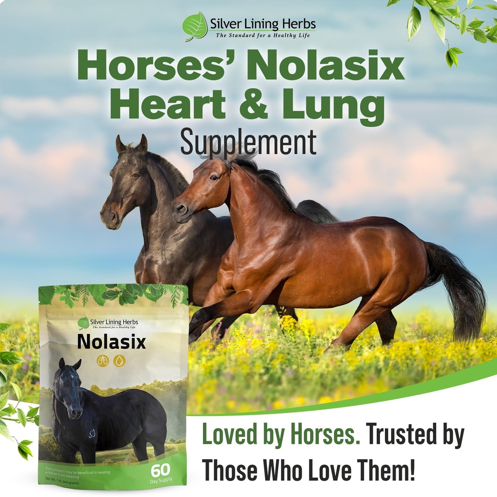 nolasix-horse-circulation-supplements-lu-6.jpg