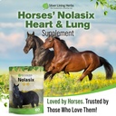 nolasix-horse-circulation-supplements-lu-6.jpg