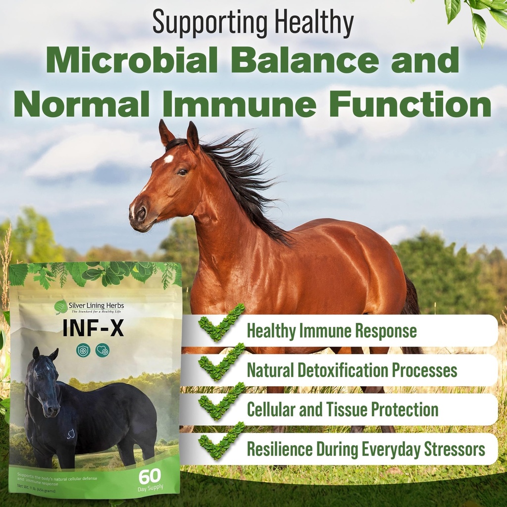 inf-x-horse-immune-booster-supplement-1--4.jpg