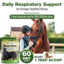 respiratory-lung-support-for-horses-1-lb-4.jpg