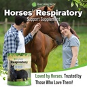 respiratory-lung-support-for-horses-1-lb-6.jpg
