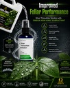 silver-thiosulfate-solution-8-oz-sts-nit-4.jpg