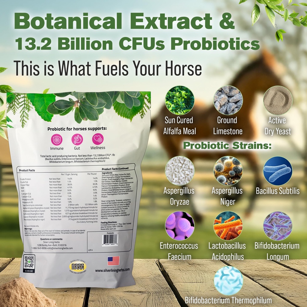 horse-probiotics-digestive-supplement-1--4.jpg