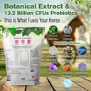 horse-probiotics-digestive-supplement-1--4.jpg