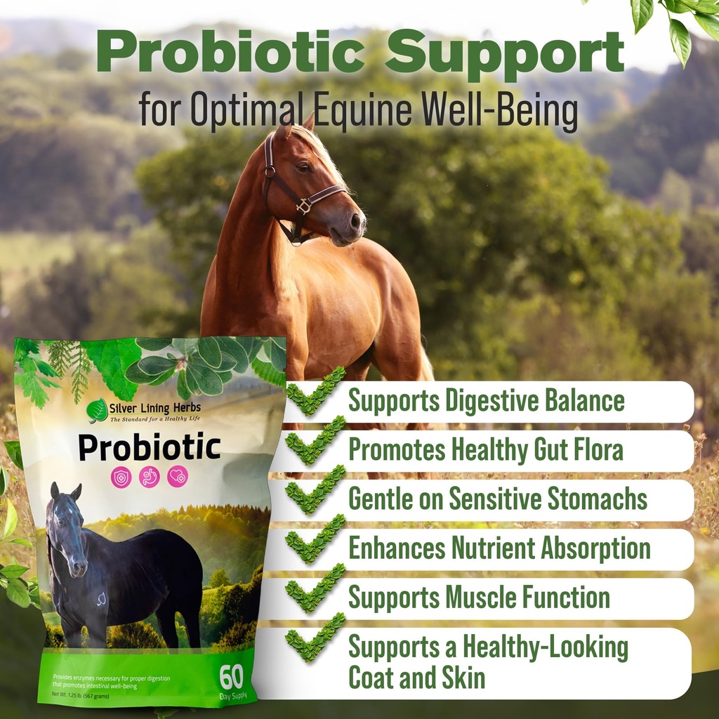 horse-probiotics-digestive-supplement-1--3.jpg