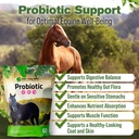 horse-probiotics-digestive-supplement-1--3.jpg