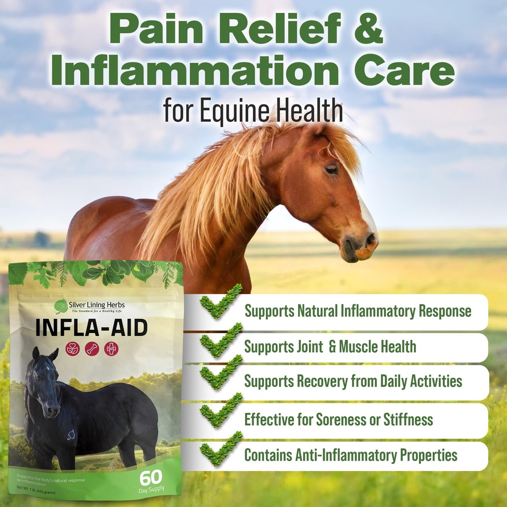 infla-aid-inflammation-relief-supplement-2.jpg