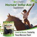 infla-aid-inflammation-relief-supplement-6.jpg