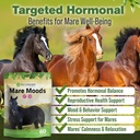mare-moods-calming-supplements-for-horse-2.jpg