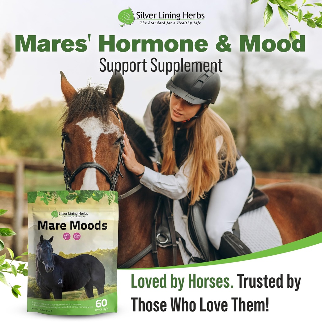 mare-moods-calming-supplements-for-horse-6.jpg