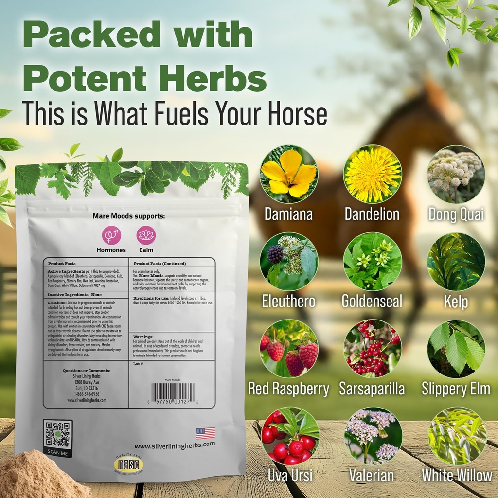mare-moods-calming-supplements-for-horse-3.jpg