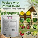 mare-moods-calming-supplements-for-horse-3.jpg