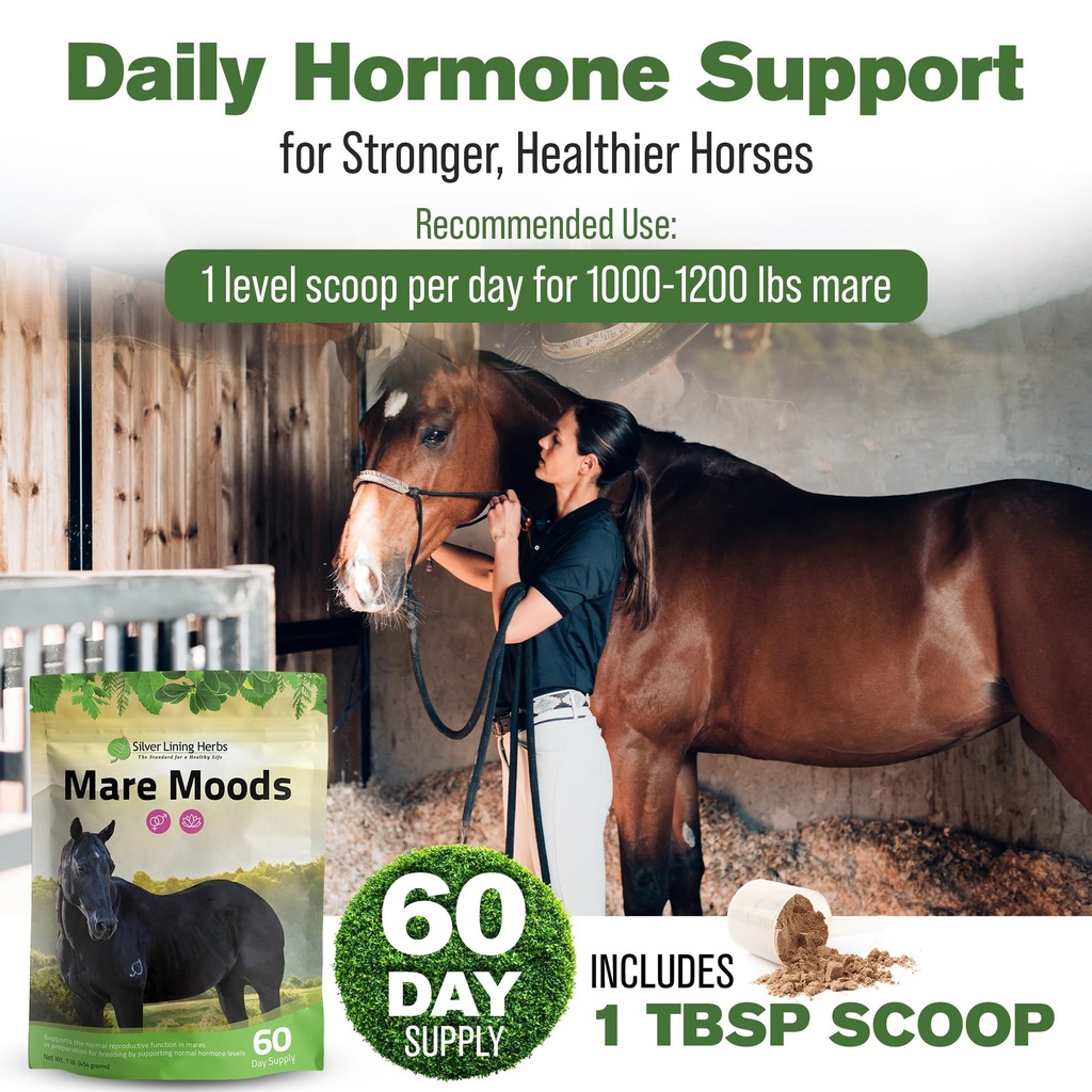 mare-moods-calming-supplements-for-horse-4.jpg