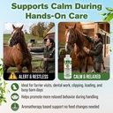 calming-oil-for-horses-pure-essential-oi-4.jpg
