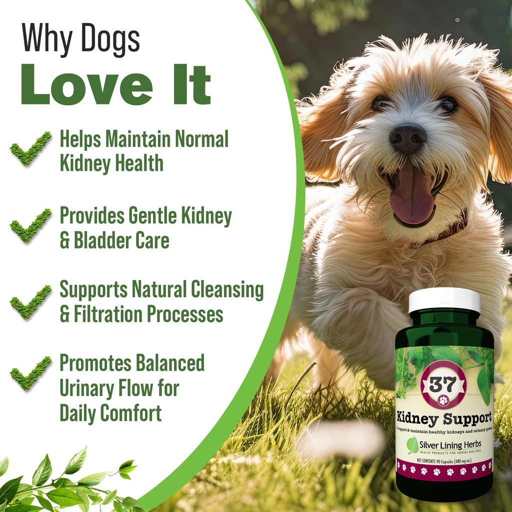 kidney-support-for-dogs-bladder-urinary--2.jpg